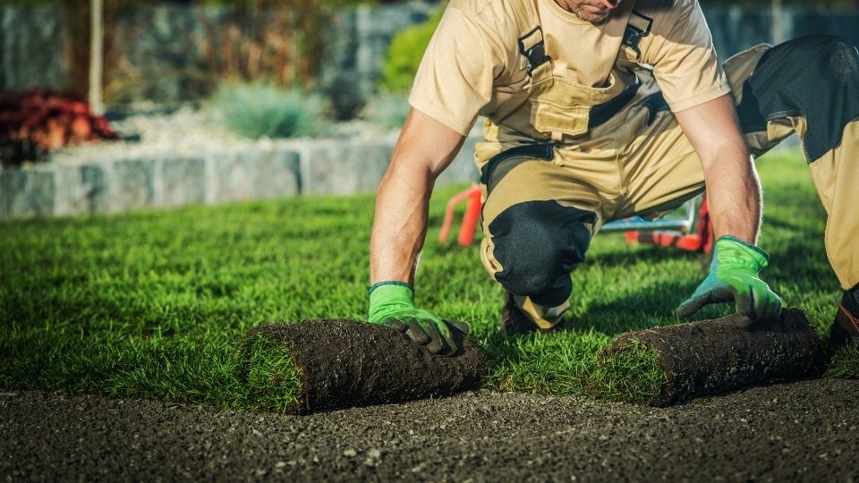 Peyzaj Çalışması